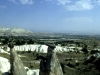 turkey02_31