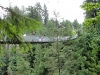 2011-08_capilano-02