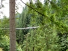 2011-08_capilano-04