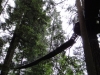 2011-08_capilano-21