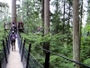2011-08_capilano-23