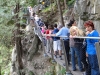 2011-08_capilano-25