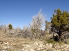 2012-0211_grandcanyon_tx7960