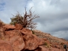 s_2012-0212_southkaibab_nk3729