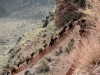 s_2012-0212_southkaibab_nk3747