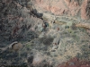 s_2012-0212_southkaibab_nk3848
