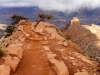 s_2012-0212_southkaibab_tx8128