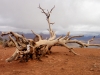 s_2012-0212_southkaibab_tx8160