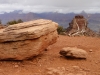 s_2012-0212_southkaibab_tx8163