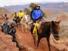 s_2012-0212_southkaibab_tx8232