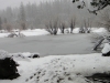 2012-03_ym-lake-11