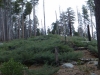 2012-0316_yosemite-0076