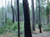 2012-0316_yosemite-0100