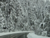 2012-03_ym-road-14