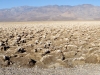 02_2012_deathvalley-x0866